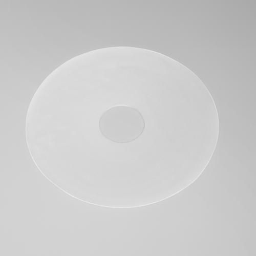 Patch Silicone Cicatrice Aréole (Rond) – CuraScar – Amoena